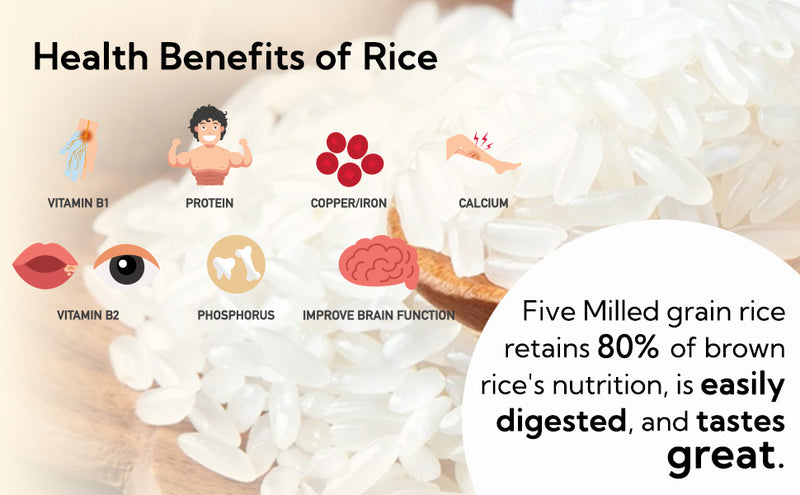 5 MILLED RICE 5분도미